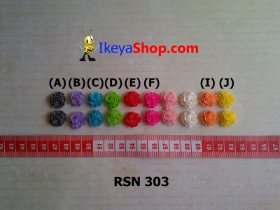 rsn 303  large2